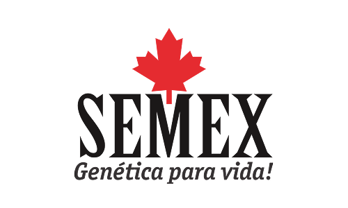 Semex